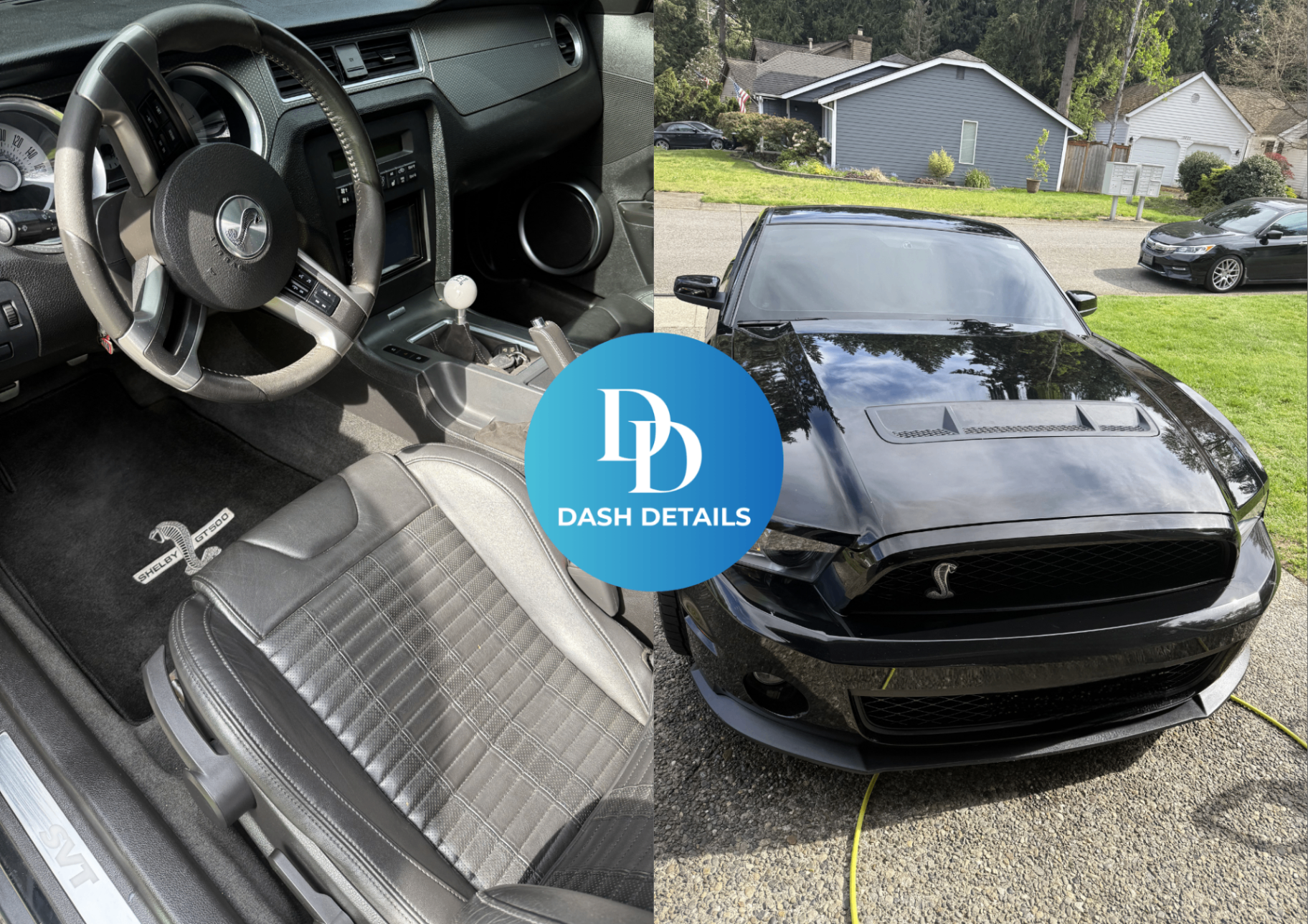 Shelby GT500 · Buff & wax