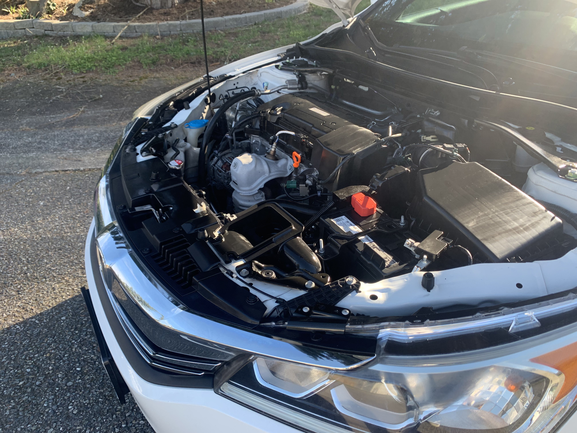 Engine bay cleaning